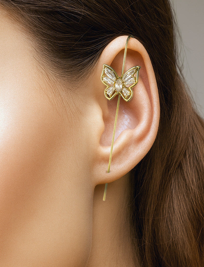 Butterfly 3